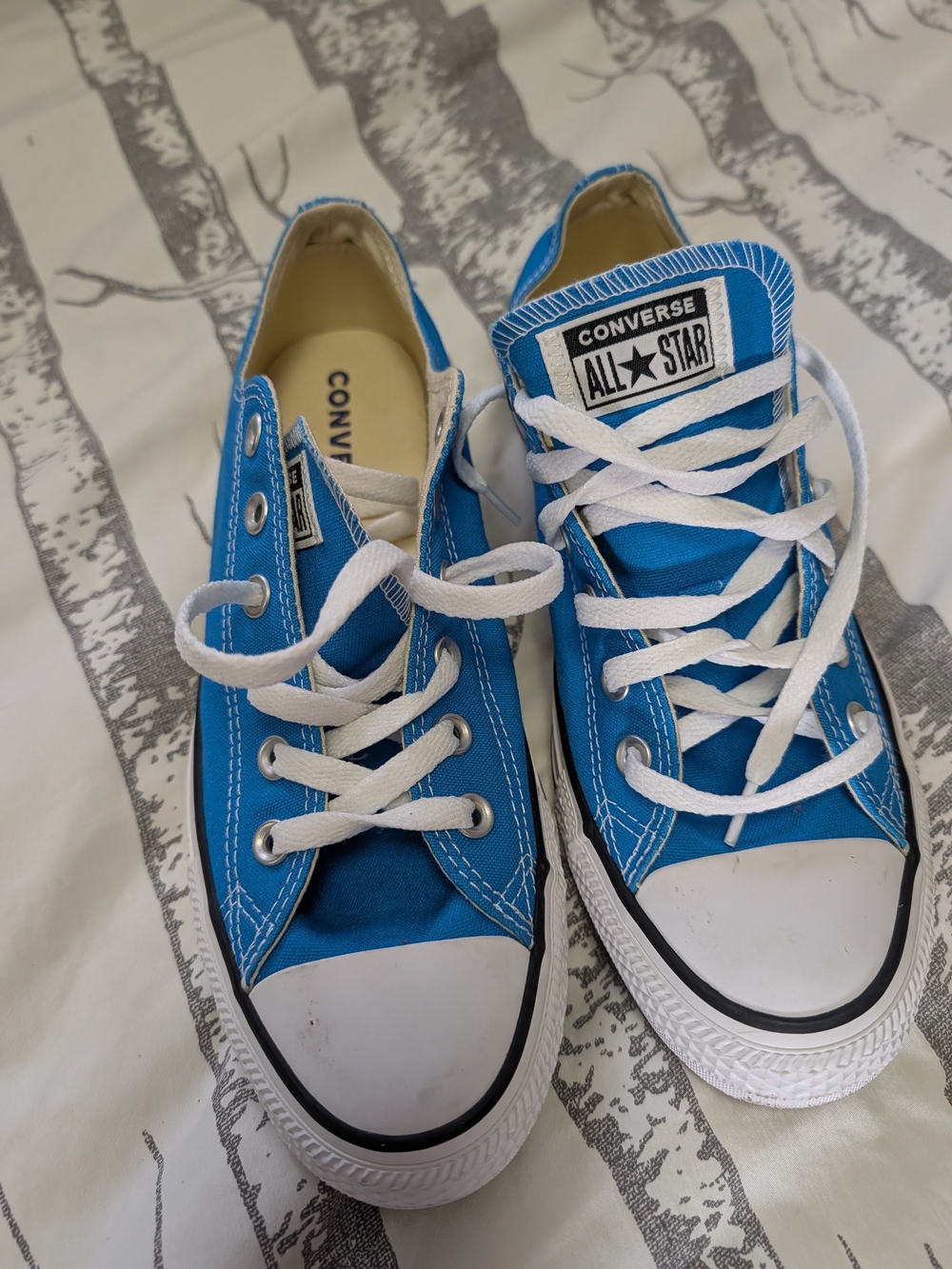 Converse Blue Low Top Chuck Taylor All Star Sneakers